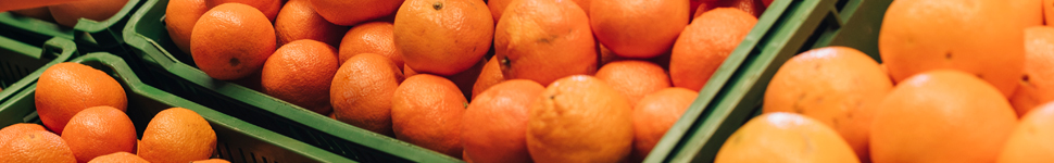 BannerInterno